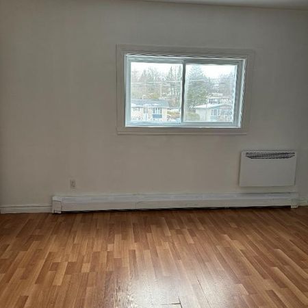 41/2 central - Photo 3