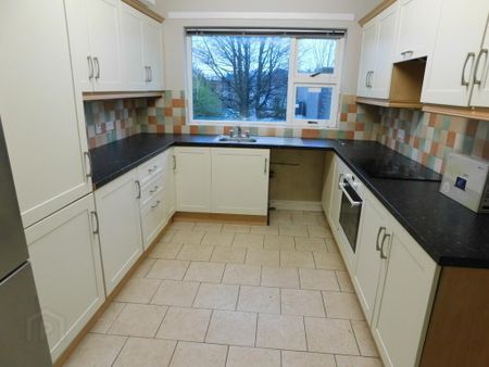 7 Orchard Terrace, Omagh, BT78 1LE - Photo 5