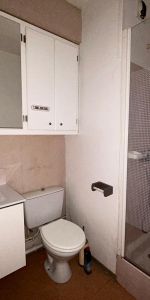 Location Appartement 1 pièce 22m² TALENCE 33400 - Photo 3