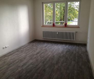 Pronájem bytu 2+1 55 m2 - Photo 1