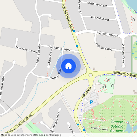 10 Lily Pilly Place, NSW 2800, Orange