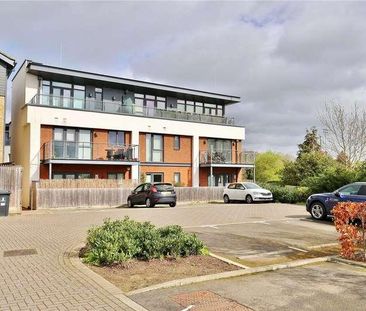 Acer Grove, Woking, Surrey, GU22 - Photo 6