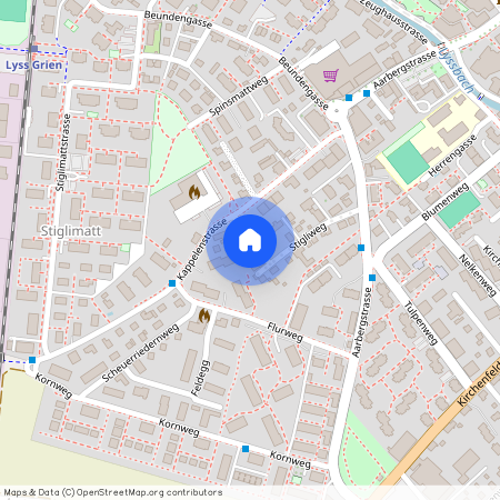 3250, Lyss, Riedmattweg, 6