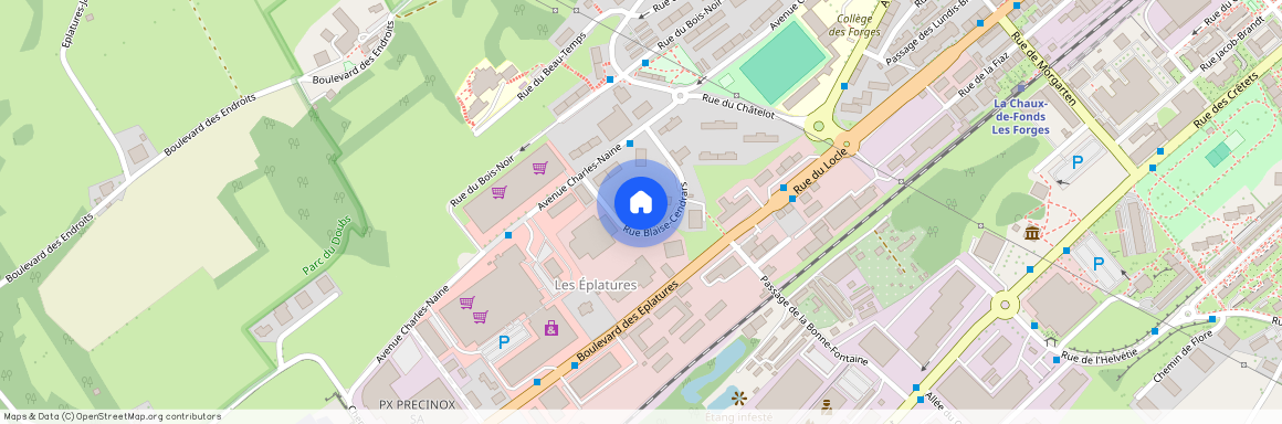 Rue Blaise-Cendrars 10, 2300 La Chaux-de-Fonds