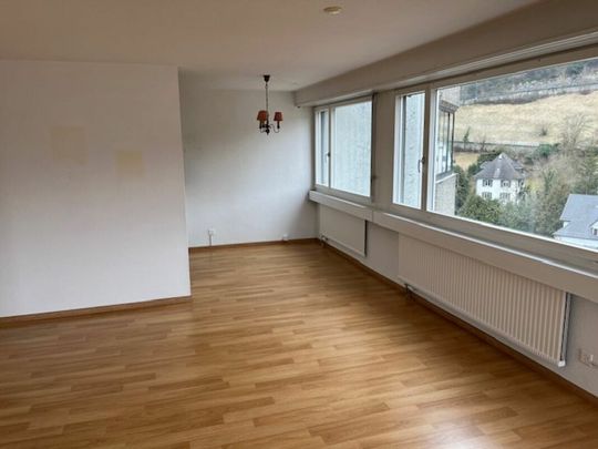 Grosszügige Wohnung mit fantastischem Ausblick - Photo 1