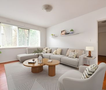 3/165 Power Street, Hawthorn VIC 3122 - Apartment For Rent | Domain - Photo 3