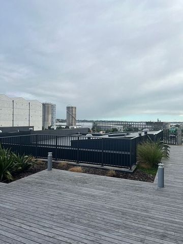 Available Now! Modern apartment - Wynyard quarter - Photo 4