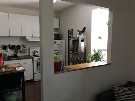Gladstone Suites — Large Bright Sunny STUDIO - Photo 5