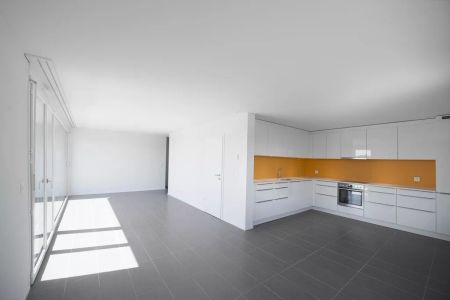Magnifique 5.5 pièces au dernier étage avec terrasse - Foto 3