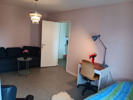 Drevkarlsstigen, Sollentuna - Photo 4