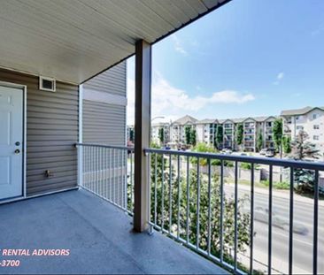 GREAT 2 BED, 1 BATH APARTMENT WITH OUTDOOR PARKING STALL IN THE COM... - Photo 1