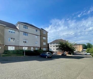 Eversley Street, Tollcross - Photo 4