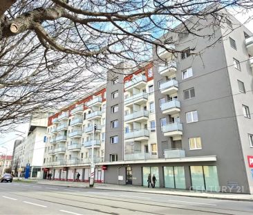 Pronájem bytu 1+kk, 30 m - Fotografie 4
