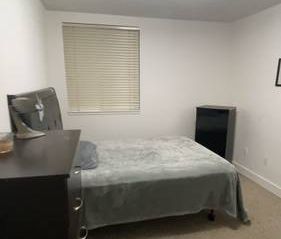 Downtown One bedroom fully furnished - Photo 2