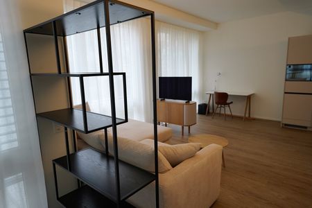Möblierte 1.5-Zimmer-Wohnung in Zürich Hottingen - Foto 3