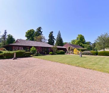 Enton Lane, Enton, Godalming, Surrey, GU8 - Photo 3