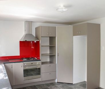 Large bottom floor apartment. 500m to Havelock CBD - Photo 4