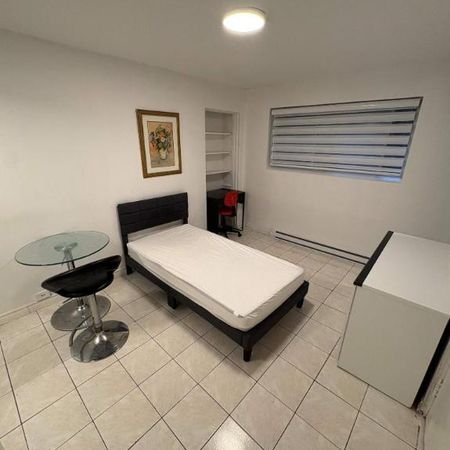 GHETTO MCGILL- STUDIO RENOVÉ & MEUBLÉ- EMPLACEMENT EXCEPTIONNEL - Photo 4