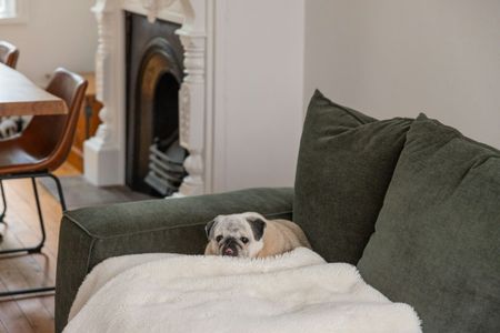 7 Kidmans Terrace - Photo 3