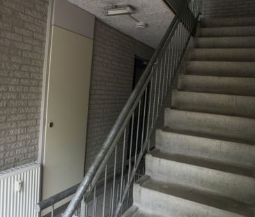 Statensingel 203, Room no. C13 - Foto 6