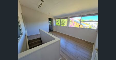 Charming and super spacious home in a convenient Taringa pocket. - Photo 5
