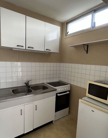Location Appartement 1 pièce 27m² - Photo 3