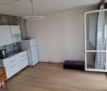Pronájem bytu 1+kk 35 m² - Fotografie 3