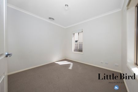73 Sarre Street, Gungahlin ACT 2912 - House For Rent | Domain - Photo 5