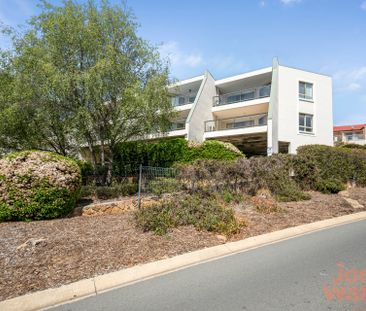 13/40 Leahy Close, Narrabundah ACT 2604 - Apartment For Rent | Domain - Photo 4