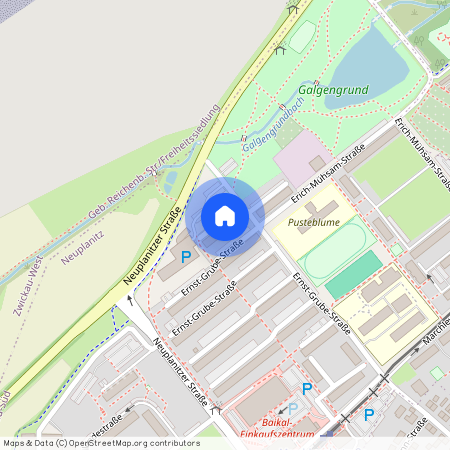 Neuplanitz, E.-Grube-Str. 227, 08062, Zwickau