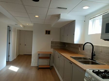 For Lease - 3 salt creek Avenue Unit# bsmt, Richmond Hill, Ontario - Photo 5