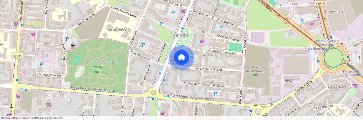 Timis, Timisoara