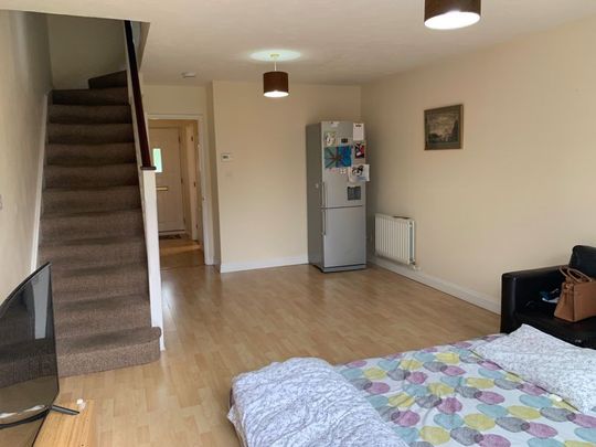 Coriander Drive - Photo 1