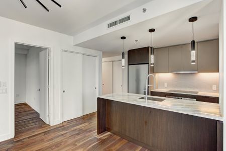 Condo for rent, Montréal (Ville-Marie) - Photo 4