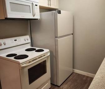 1 bedroom suite for rent - Photo 1