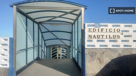 1 room luxury Apartment for rent in San Cristóbal de La Laguna, Canary Islands - Photo 4