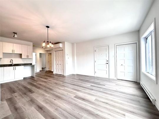 1835 Rue Bélanger - Photo 1