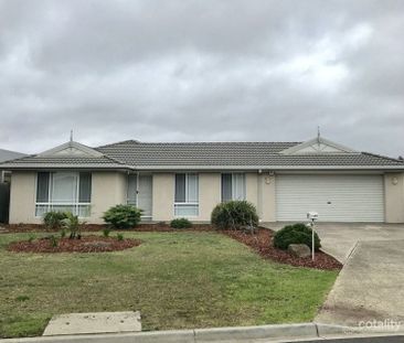 Spacious Family Living in a Prime Location! - Photo 1