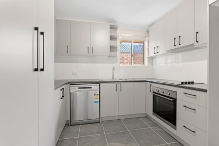 2/3 Peter Place, Bligh Park NSW 2756 - House For Rent | Domain - Photo 4