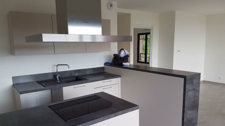 Location Appartement 2 pièces 52m² SANTENY 94440 - Photo 5