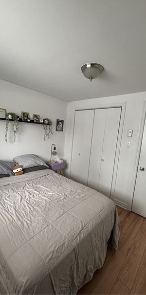 4 1/2 Rosemont Masson / Parc Molson - Photo 1