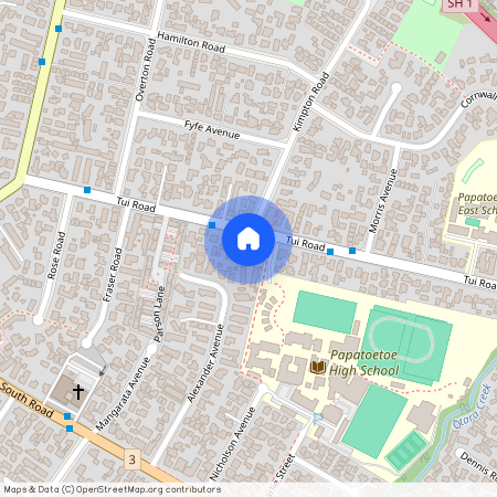 103 Tui Road, Papatoetoe, Manukau City