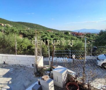 Μονοκατοικία για ενοικίαση Άνω Άμφεια (Θουρία) - Photo 6