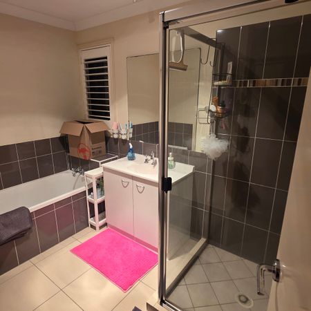 Eight Mile Plains - Photo 4