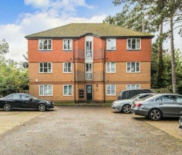 2 Bed Flat, Pineridge Gardens, RG30 - Photo 6