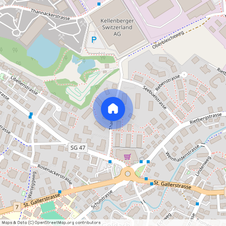 Thannstrasse, 9403 Goldach