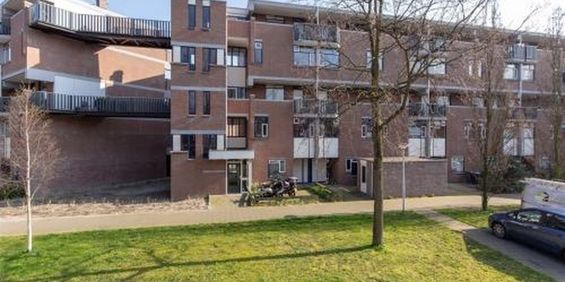 Hollandsch Diep 0ong 1509 Zaandam - Foto 3