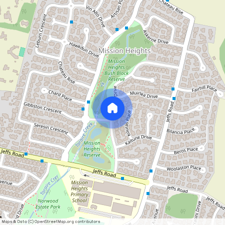 Packspur Drive, Flat Bush, Manukau City