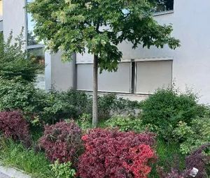 Ruhige 3-Zimmer-Gartenwohnung mit Tiefgarage in 1220 Wien - Polgarstraße-Wohnfläche 67,57m2, Garten 78,89m2, Baujahr 2007 - Photo 3