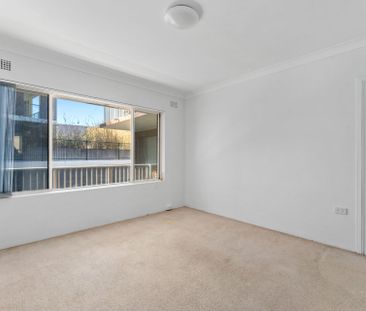 Prime Position - Photo 4